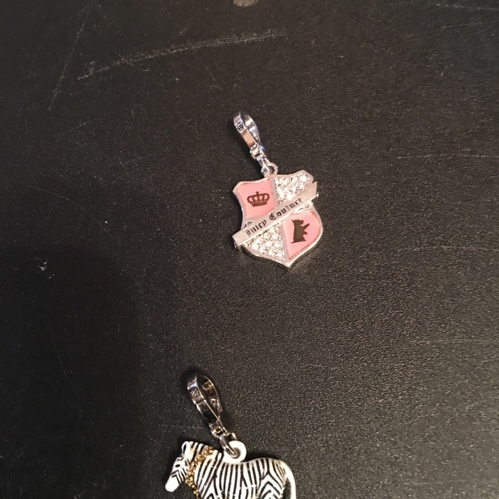 🆕 Juicy Couture charms - Picture 5 of 7
